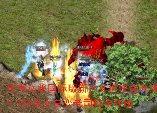 ����˽�����ʰ�������ο���������100��С�ױ���˾��ȫ����