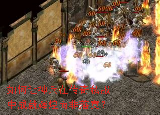 ���������ڴ���˽���гɾͻԻͶ�����į��