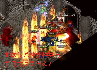 Ѫ����˵��������ѧϰ������ʲô��