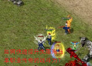 ��ο�������ʧ�亣����ְҵ�����ս������