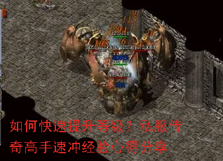 ��ο��������ȼ���˽����������ٳ徭���ĵ÷���