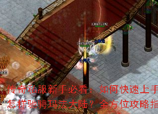 ����˽�����ֱؿ�����ο������֣������۳��귨��½��ȫ��λ����ָ��