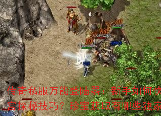 ����˽�����ܵ�½����������ο��������Թ�̽�ؼ��ɣ��䱦��ȡ����Щ�����ؾ���