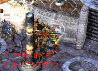 如何利用VIP特权快速获取专属装备? 如何利用VIP特权快速获取专属装备?