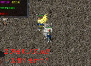 ���ʺ�ɢ����ҵĺϻ������ʲô��