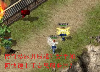 ����˽�������ѣ�������ο�������ר����������