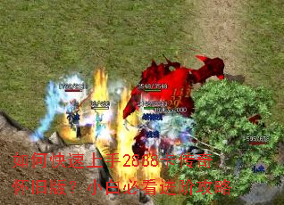 ��ο�������2888�����滳�ɰ棿С�ױؿ����׹���