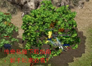 传奇私服下载指南:新手玩家必看? 传奇私服下载指南:新手玩家必看?