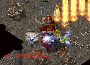 ��ο������ֺϻ��汾��