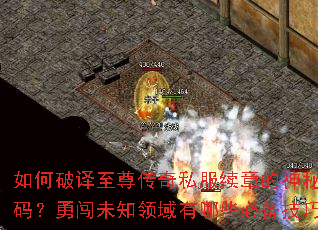 �������������˽�����µ����ش��룿�´�δ֪��������Щ�ر����ɣ�