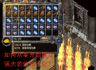 如何从零开始建立强大的传奇行会? 如何从零开始建立强大的传奇行会?