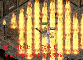 ��ο�������1.76��Ҹ��Ŵ��棿���ֱؿ�����