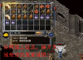 ���̤����;���⿪����������������ţ�