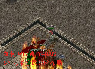 �����ȡ������BOSS��������Ĳ��Բ���