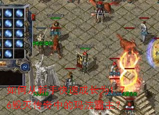 ��δ����ֿ��ٳɳ�Ϊ1.76�������е��귨������