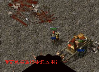 ����˽��GMָ����ô�ã�