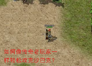 ������������һ�����ɹ���ɳ�Ϳˣ�