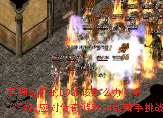 ����������BOSS����ô�죿��������Ӧ�Դ�����Ϸ�еļ�����ս