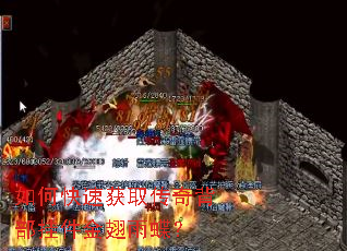 ��ο��ٻ�ȡ���汳���Ҽ���������