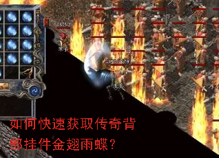 如何快速获取传奇背部挂件金翅雨蝶? 如何快速获取传奇背部挂件金翅雨蝶?