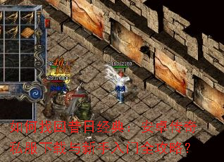 如何找回昔日经典:安卓传奇私服下载与新手入门全攻略? 如何找回昔日经典:安卓传奇私服下载与新手入门全攻略?