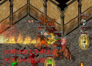 ��ο����������������������·���