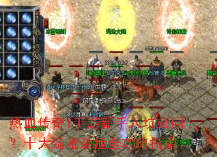 ��Ѫ����1����������ӱ��ʣ�ʮ��������֢ȫ����ָ��