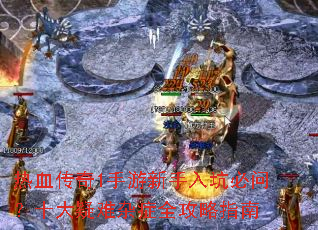 ��Ѫ����1����������ӱ��ʣ�ʮ��������֢ȫ����ָ��