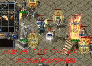 ��Ѫ����1����������ӱ��ʣ�ʮ��������֢ȫ����ָ��