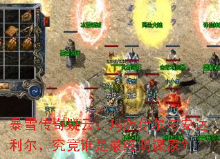 ��ѩ�������ƣ����������밲������������˭��������ı�ң�