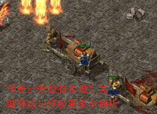 ����sf�����ж��ѣ��ؼ��ȼ��뾭��Ҫ��ȫ����