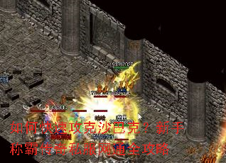 ��ο��ٹ���ɳ�Ϳˣ����ֳưԴ���˽����ͨȫ����