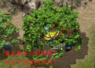 ħ������Ϊ�ζ��䣿����֮����νҿ���