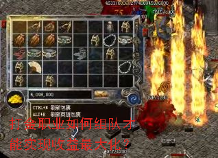 ���ְҵ�����Ӳ���ʵ��������󻯣�