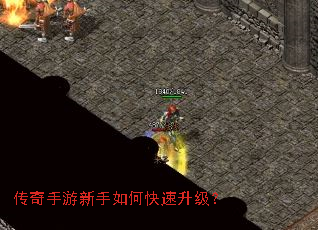 ��������������ο���������