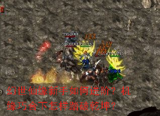 ������Ե������ν��ף���Ե�ɺ�������̤��Ǭ����