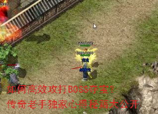 如何高效攻打BOSS夺宝?传奇老手独家心得秘籍大公开 如何高效攻打BOSS夺宝?传奇老手独家心得秘籍大公开