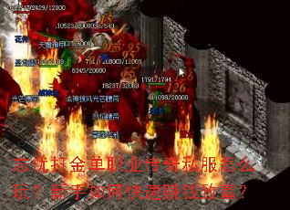 忘忧打金单职业传奇私服怎么玩?新手如何快速赚钱致富? 忘忧打金单职业传奇私服怎么玩?新手如何快速赚钱致富?