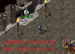 ��ν���176��������ܱ�װ����������ɫս����