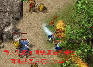 散人玩家如何快速提升等级?有哪些实用技巧分享? 散人玩家如何快速提升等级?有哪些实用技巧分享?