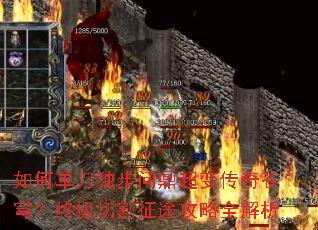 ��ε��������ʶ����䴫���񷣿�ռ��и���;����ȫ����