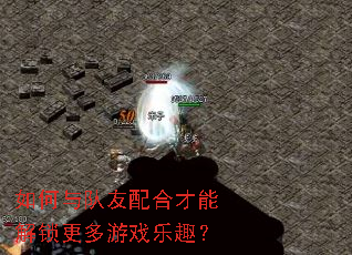 ����������ϲ��ܽ���������Ϸ��Ȥ��