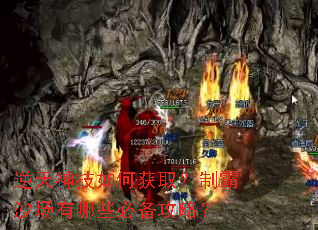 ��������λ�ȡ���ư�ɳ������Щ�ر����ԣ�