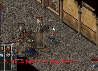 ���������׷ɱʱӦ�����Ӧ�ԣ�