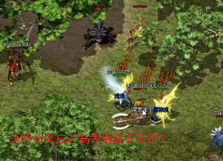 ��ʦ���Ӧ�Ըߵȼ�սʿ��ң�