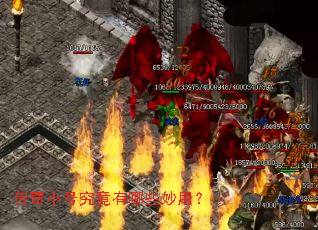 ����С�ž�������Щ���ã�