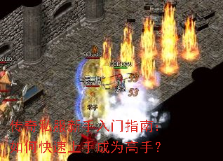 ����˽����������ָ�ϣ���ο������ֳ�Ϊ���֣�