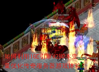 �������IGE����M2�ű������Ż������������Ϸ���飿