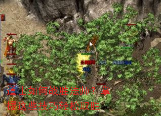 ��ʿ���սʤ��ʦ��������Щ��������ȡʤ