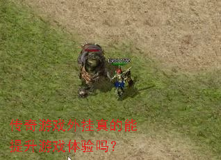 ������Ϸ��������������Ϸ������